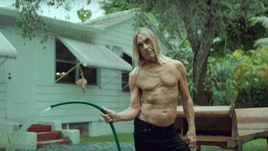 iggy pop hm close loop recycled clothes 1